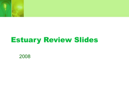 Estuary Review Slides