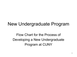 New Undergraduate Program