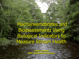 Effectiveness of Macroinvertebrate IBI’s as Watershed