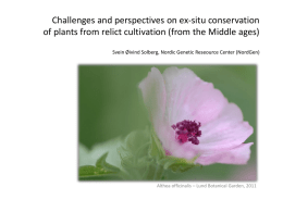 Ex-situ conservation of relict plants – challanges Svein