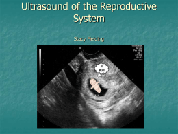 Ultrasound of the Reproductive System