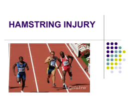 ISSUES FOR REHABILITATION OF A HAMSTRING INJURY
