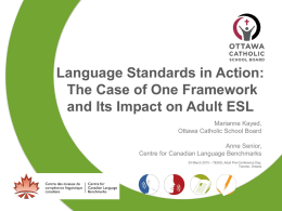 Language Standards in Action: The Case of One Framework