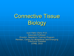 Connective Tissue Biology: Cell Growth and Repair