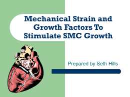 Mechanical Strain and Growth Factors?