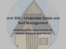 Unit 306 – Undertake Stable and Yard Management