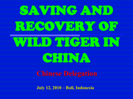 Some Thoughts on Recovery of Wild Tiger Population in China