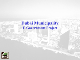 Dubai Municipality E-Government Strategy