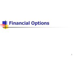 Options, PowerPoint Show
