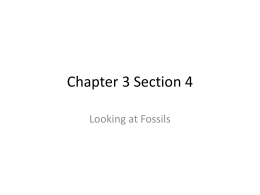 Chapter 3 Section 4 - Weathersfield Local Schools