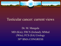Testicular cancer: current views