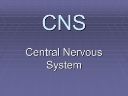 CNS - BEHS Science