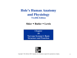 PowerPoint to accompany Hole’s Human Anatomy and