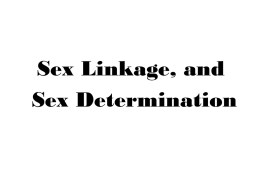 CHAPTER 12 Chromosomal Basis of Inheritance, Sex linkage
