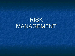 Elements of a Risk Management Plan Powerpoint Presentation