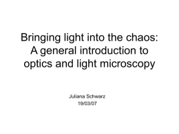 A general introduction to Microscopy