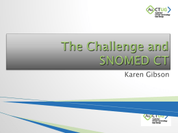 The Challenge: Karen Gibson