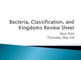 Bacteria, Classification, and Kingdoms Review Sheet