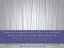 Exploring Conceptualizations of Diversity and Social