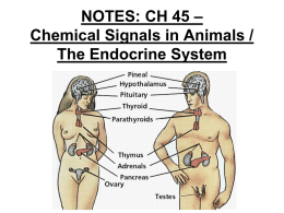 Ch 45: Chemical Signals in Animals / Endocrine System