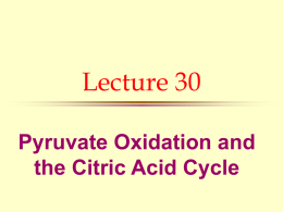 Lecture 29
