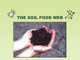 Soil Biology - University of Georgia College of
