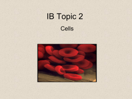 IB Topic 2 - Blended Biology