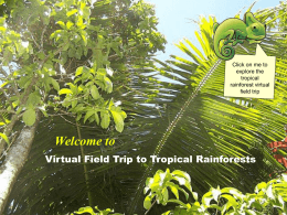 Virtual Fieldtrip to Tropical Rainforests