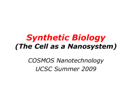 Synthetic Biology - COSMOS Cluster 2 Introduction