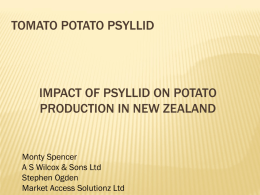 Potato psyllid