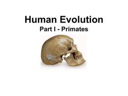 Human Evolution - Warren Hills Regional School District