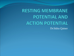 RESTING MEMBRANE POTENTIAL AND ACTION POTENTIAL