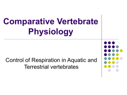 Comparative Vertebrate Physiology