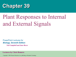 Plant Responses to Signals