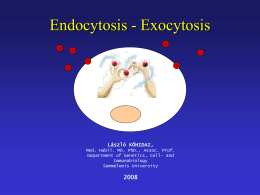 Endocytosis - Exocytosis
