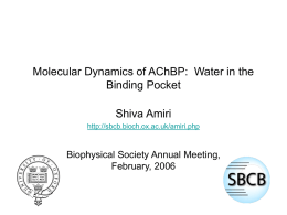 Molecular Dynamics of AChBP: Water in the Binding Pocket
