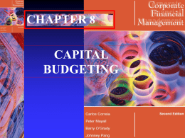 Capital Budgeting - University of Cape Town