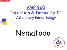 Symbiosis - NCSU Veterinary Parasitology