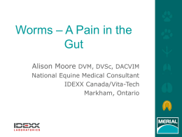 Worms – A Pain in the Gut - Calhan Veterinary Clinic