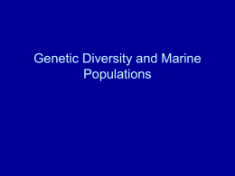 Genetic Diversity and Marine Populations