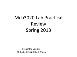 Microbiology Lab Midterm Review - ASM @ UCF
