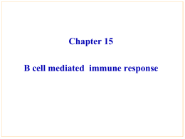 Chapter 15 Immune response(Ir)