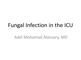 Fungal Infection in the ICU