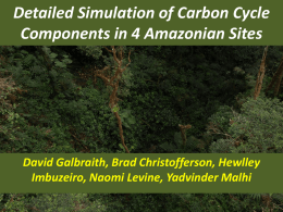 Simulation of the components of GPP and NPP in Amazonia