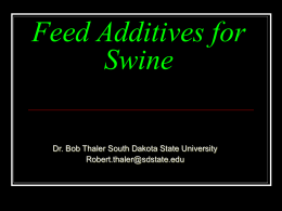 Feed Additives for Swine - Faculty Website Listing