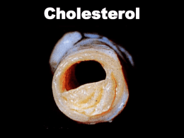 Diagram To Summarise the transport of Cholesterol in the
