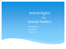 Animal Rights vs. Animal Welfare