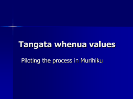 Tangata whenua values
