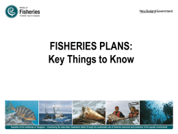 FISHERIES PLANS: Key Things to Know