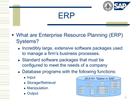 ERP - SAP Instructional Materials Site